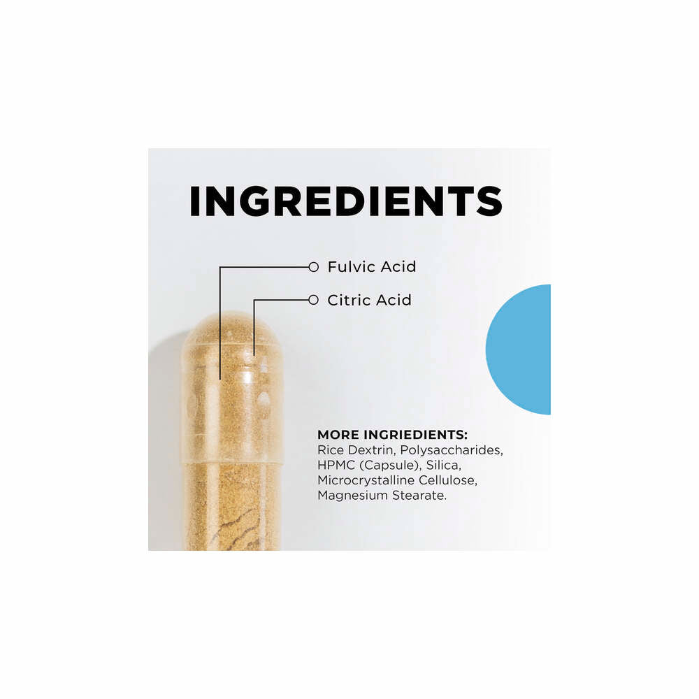 BioToxin Binder - 120 Capsules | CellCore Biosciences