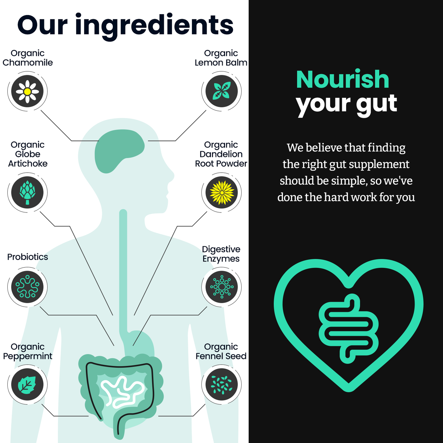 Gut 3-in-1 - 60 Capsules | Feel Complete