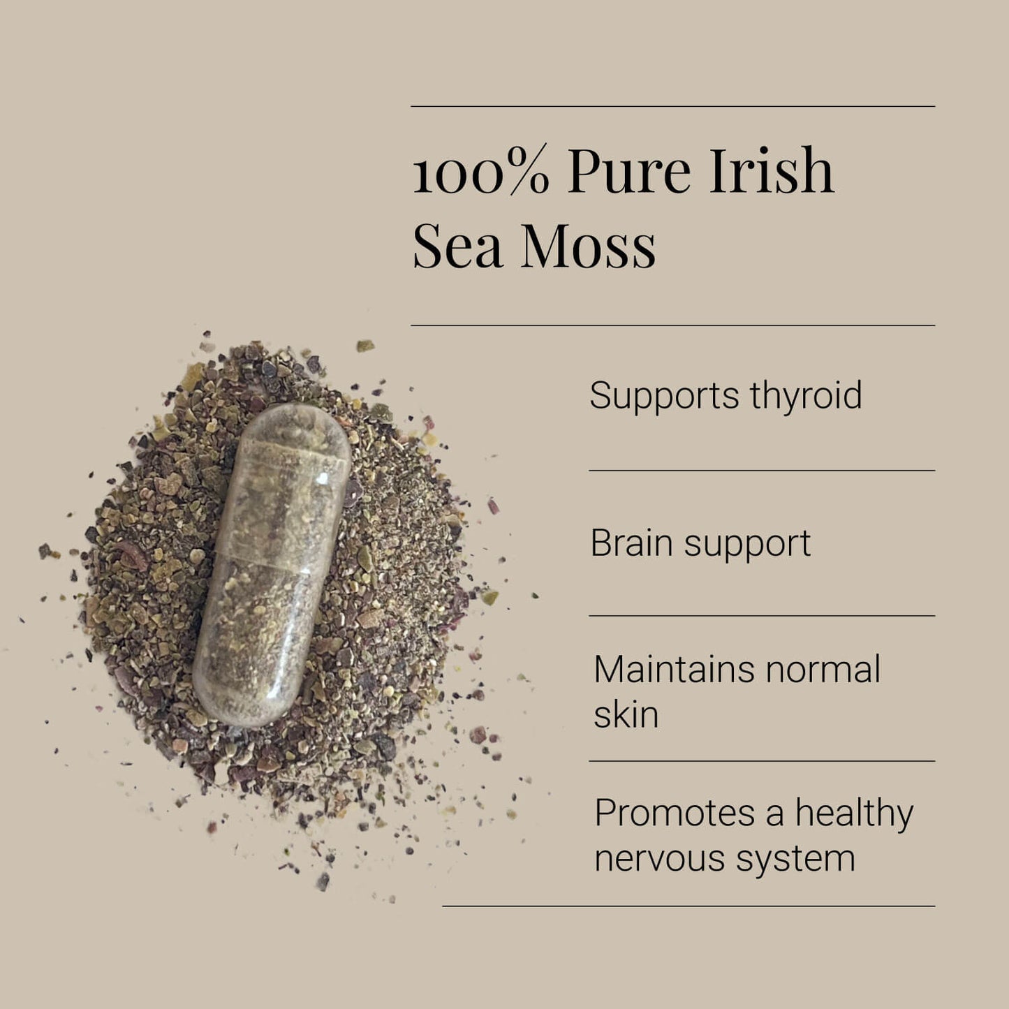 Organic Sea Moss - 90 Capsules | KIKI Health